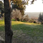 Mommialla Il Baluardo *