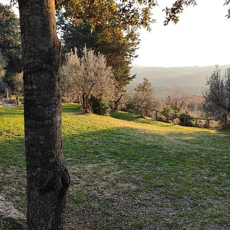 Mommialla Il Baluardo *