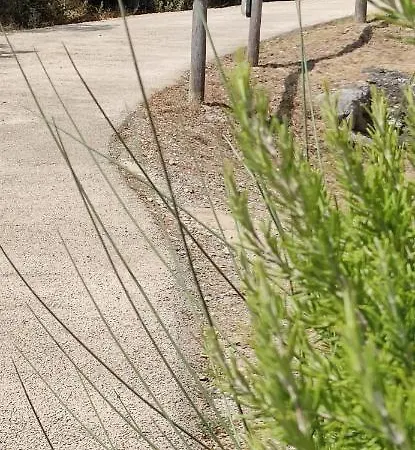 Mommialla Il Baluardo * גאמבאסי