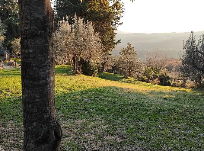 Mommialla Il Baluardo *