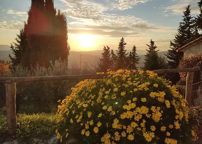 Mommialla Il Baluardo *